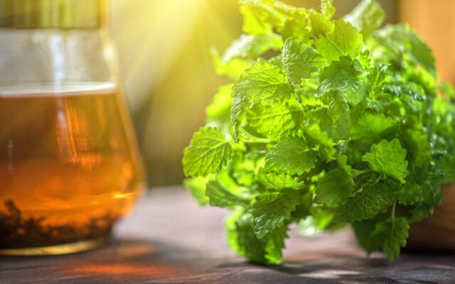 How to Make Spearmint Tea